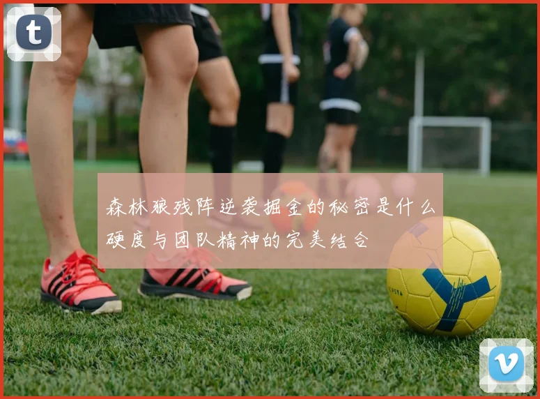 森林狼残阵逆袭掘金的秘密是什么硬度与团队精神的完美结合